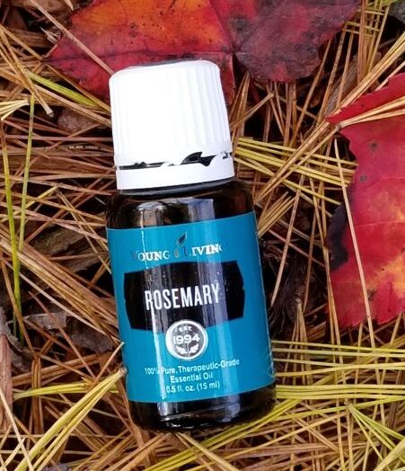 * rosemary – oil profile